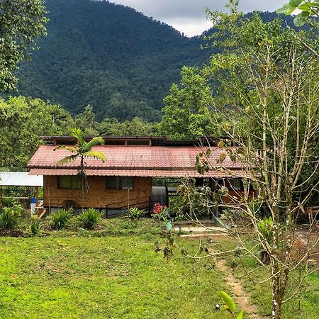Sendero De Las Aves Mindo Exterior photo
