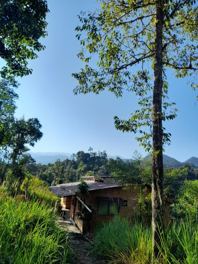 Sendero De Las Aves Mindo Exterior photo