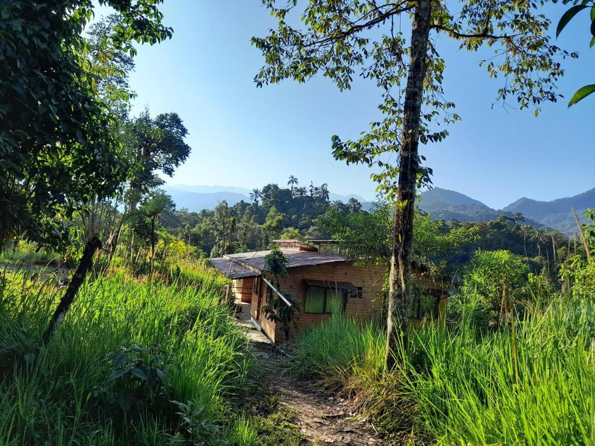 Sendero De Las Aves Mindo Exterior photo
