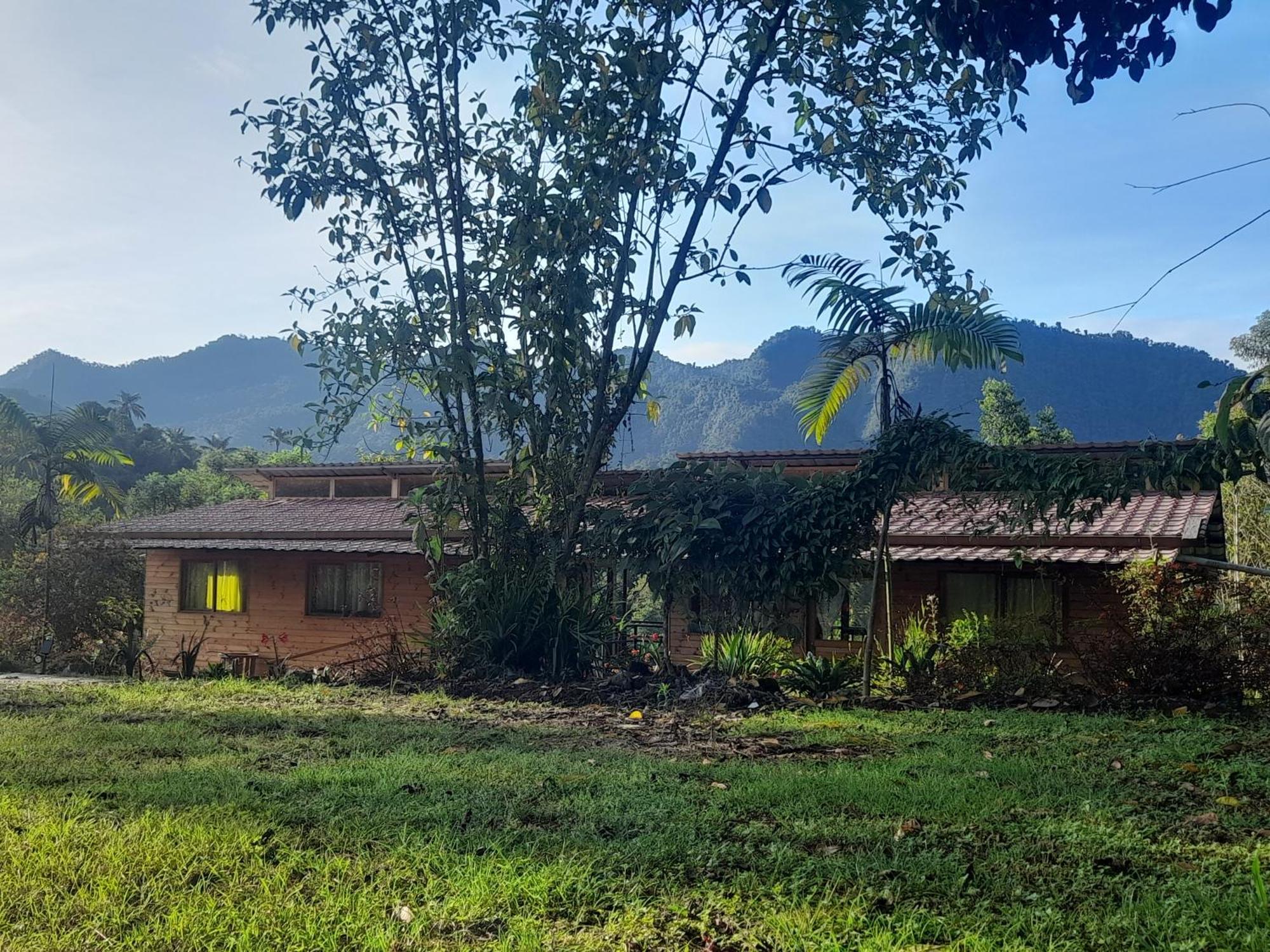 Sendero De Las Aves Mindo Exterior photo